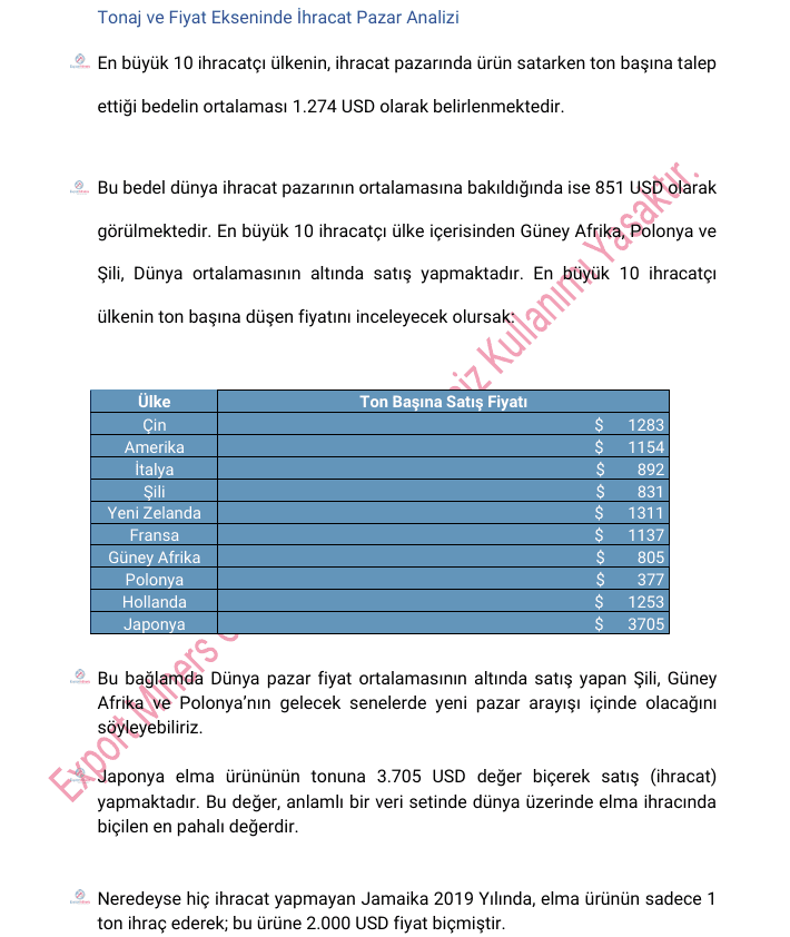 Pazar istihbaratı raporu — ihracat verileri ve rakip stratejileri bölümü örneği